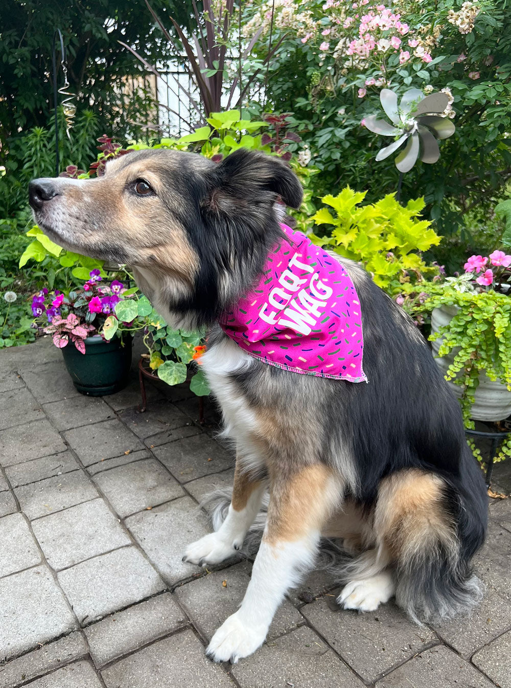 Pink Fort Wag Dog Bandana on long haired dog by plants